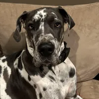 processed/b63ac7e0-69fe-4e24-9b3c-1e27c9dd8a1b/facility/90343962-87ba-47e7-8bea-50f5cb7703da