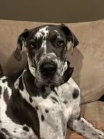 processed/b63ac7e0-69fe-4e24-9b3c-1e27c9dd8a1b/facility/90343962-87ba-47e7-8bea-50f5cb7703da