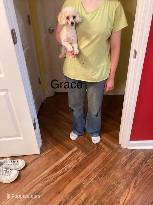 Grace