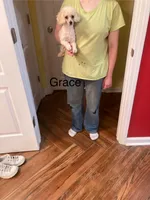 processed/b64793d0-7c99-47db-961a-0b46cac30c40/listing/046f86da-f857-4528-b7ca-8f95f8fa9923/1d44e820-5200-40dc-b7ab-dc4b6e6dc69f