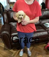 processed/b64793d0-7c99-47db-961a-0b46cac30c40/listing/046f86da-f857-4528-b7ca-8f95f8fa9923/35fa7b96-9f80-45d1-b700-e1b2d5e278b6