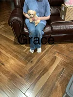 processed/b64793d0-7c99-47db-961a-0b46cac30c40/listing/046f86da-f857-4528-b7ca-8f95f8fa9923/cab9d51b-c8d8-42d7-848a-ad74c7475bef