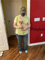 PollyAnn, a female Poodle - Toy  for sale in Pontotoc, MS – 9 of 9