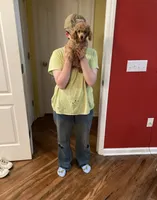 Millie, a female Poodle - Toy  for sale in Pontotoc, MS – 5 of 5