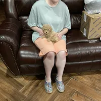 Bear, a male Poodle - Toy  for sale in Pontotoc, MS – 7 of 7