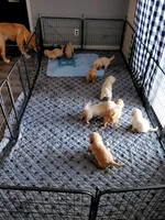 Facility photo