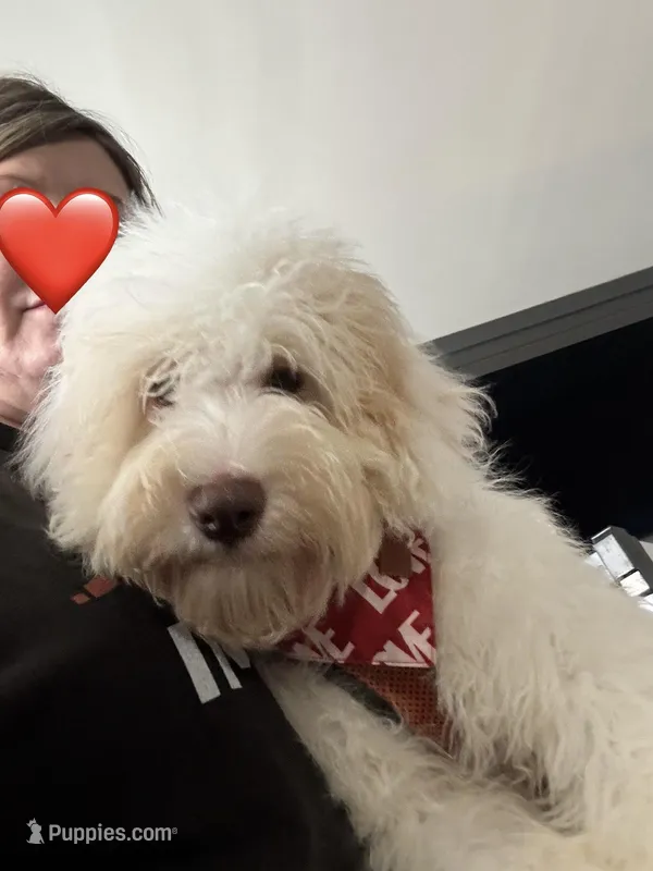 Wavy Caramel Extreme Parti *soft*