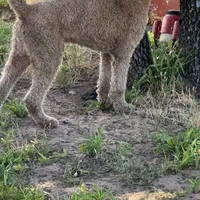 processed/b65e8bb9-53c5-4930-a4cf-7e34b0deba98/facility/152fb952-2ad7-406f-8d11-0b81613bd344