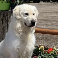 processed/b65e8bb9-53c5-4930-a4cf-7e34b0deba98/facility/1919281d-a2a1-4849-85b5-828fffda3e98