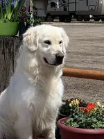 processed/b65e8bb9-53c5-4930-a4cf-7e34b0deba98/facility/1919281d-a2a1-4849-85b5-828fffda3e98