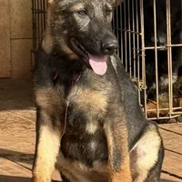 processed/b65e8bb9-53c5-4930-a4cf-7e34b0deba98/facility/304ba99b-faa5-4fb4-bf67-a22dc5abb0b6