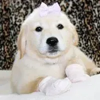 processed/b65e8bb9-53c5-4930-a4cf-7e34b0deba98/facility/4a7ed4ce-2188-43f9-926b-16551ebc3ac4