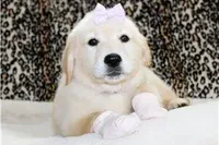 processed/b65e8bb9-53c5-4930-a4cf-7e34b0deba98/facility/4a7ed4ce-2188-43f9-926b-16551ebc3ac4