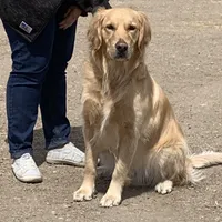 processed/b65e8bb9-53c5-4930-a4cf-7e34b0deba98/facility/4c9fd98e-3e29-4fb3-863e-ea95bc30865e