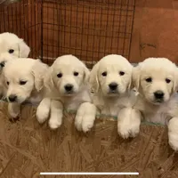 processed/b65e8bb9-53c5-4930-a4cf-7e34b0deba98/facility/8195c59a-b819-4281-8f88-b0d1036cc16f