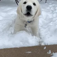 processed/b65e8bb9-53c5-4930-a4cf-7e34b0deba98/facility/8619e0ec-8e07-450e-b60c-58345f9ace9d