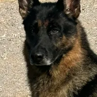 processed/b65e8bb9-53c5-4930-a4cf-7e34b0deba98/facility/d60c11a2-7744-4902-bb23-d33fafa5d548