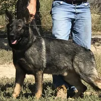 processed/b65e8bb9-53c5-4930-a4cf-7e34b0deba98/facility/f13ebdfd-a709-4c33-ac6a-d30587a940e3