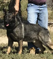 processed/b65e8bb9-53c5-4930-a4cf-7e34b0deba98/facility/f13ebdfd-a709-4c33-ac6a-d30587a940e3