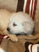 processed/b65e8bb9-53c5-4930-a4cf-7e34b0deba98/listing/12bab646-be7b-43bf-93c6-a6ec04ee1884/21f205db-b3ec-4976-a193-1a13296e5405