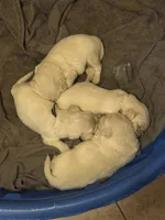 processed/b65e8bb9-53c5-4930-a4cf-7e34b0deba98/listing/12bab646-be7b-43bf-93c6-a6ec04ee1884/574c0760-2f21-47b0-95e9-6ef320756346