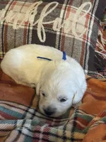 processed/b65e8bb9-53c5-4930-a4cf-7e34b0deba98/listing/12bab646-be7b-43bf-93c6-a6ec04ee1884/87c037d1-4081-4988-b3cf-2cb50cc1c5e0