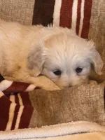 processed/b65e8bb9-53c5-4930-a4cf-7e34b0deba98/listing/12bab646-be7b-43bf-93c6-a6ec04ee1884/b7dc5977-421c-489f-bc12-a77790fc2c30