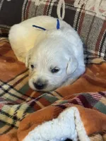 processed/b65e8bb9-53c5-4930-a4cf-7e34b0deba98/listing/12bab646-be7b-43bf-93c6-a6ec04ee1884/ba370494-bcef-4813-afbe-be124a80f661