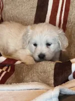 processed/b65e8bb9-53c5-4930-a4cf-7e34b0deba98/listing/12bab646-be7b-43bf-93c6-a6ec04ee1884/c98dd789-59ca-43a4-a261-3c9c94d15914