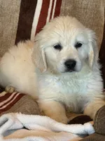 processed/b65e8bb9-53c5-4930-a4cf-7e34b0deba98/listing/12bab646-be7b-43bf-93c6-a6ec04ee1884/fbd9f6c3-2b2d-4291-bc24-8f9dc23c8c14