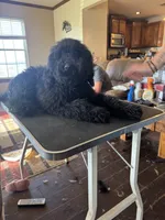 processed/b65e8bb9-53c5-4930-a4cf-7e34b0deba98/listing/5d776a14-823e-491f-806d-b087e97e078e/d7a27f2e-c27c-4223-92ca-851e0f8fc9ba