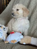 processed/b65e8bb9-53c5-4930-a4cf-7e34b0deba98/listing/60cb88e3-22f0-4a05-a4d9-f85b23ea0cd5/14676bbb-8543-4601-97ed-00c670f07ab9