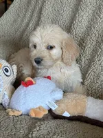 processed/b65e8bb9-53c5-4930-a4cf-7e34b0deba98/listing/60cb88e3-22f0-4a05-a4d9-f85b23ea0cd5/7613261f-8c90-4400-9fae-4e22eb515016