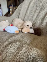 processed/b65e8bb9-53c5-4930-a4cf-7e34b0deba98/listing/60cb88e3-22f0-4a05-a4d9-f85b23ea0cd5/a663d382-cee4-4138-ab73-2df6978a5ec6