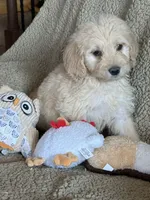 processed/b65e8bb9-53c5-4930-a4cf-7e34b0deba98/listing/60cb88e3-22f0-4a05-a4d9-f85b23ea0cd5/ed2953be-63da-48f0-84db-6ded80b11326