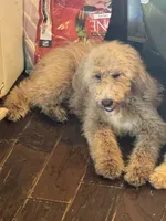 processed/b65e8bb9-53c5-4930-a4cf-7e34b0deba98/listing/63511a2a-1a3a-4005-9155-08d88b679fe3/4f987033-b922-4823-94e6-a30c3f0269b8