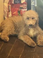 processed/b65e8bb9-53c5-4930-a4cf-7e34b0deba98/listing/63511a2a-1a3a-4005-9155-08d88b679fe3/68a76d00-5abe-4205-91ca-dc7beb9d8c8a