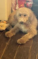 processed/b65e8bb9-53c5-4930-a4cf-7e34b0deba98/listing/63511a2a-1a3a-4005-9155-08d88b679fe3/7d96026a-d46d-43d8-9650-b8f2d62297e7