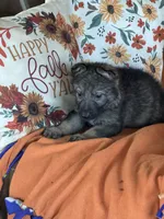 processed/b65e8bb9-53c5-4930-a4cf-7e34b0deba98/listing/b29b1cc6-d711-4625-aedd-2b8b5fa50378/0e5f019f-08c3-421a-8d8e-267852c9d0cb