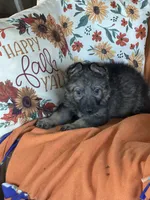 processed/b65e8bb9-53c5-4930-a4cf-7e34b0deba98/listing/b29b1cc6-d711-4625-aedd-2b8b5fa50378/4fe5f8ce-1394-4c1f-9b60-04a6e3a5ef30