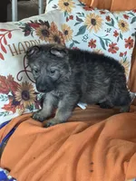 processed/b65e8bb9-53c5-4930-a4cf-7e34b0deba98/listing/b29b1cc6-d711-4625-aedd-2b8b5fa50378/5d954647-0e75-47ac-8e64-60d8424eb970