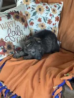 processed/b65e8bb9-53c5-4930-a4cf-7e34b0deba98/listing/b29b1cc6-d711-4625-aedd-2b8b5fa50378/eeca55ec-9b9e-414c-95bd-80a515e54ce4