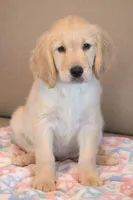 processed/b65e8bb9-53c5-4930-a4cf-7e34b0deba98/listing/fdd50098-883d-4cd7-9dbc-891e36a6743b/0198350b-bea0-4f79-864e-440b038b8321