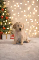 processed/b65e8bb9-53c5-4930-a4cf-7e34b0deba98/listing/fdd50098-883d-4cd7-9dbc-891e36a6743b/50d61e37-7b89-4745-93bb-a42b2048a09a