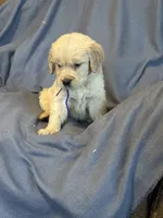 processed/b65e8bb9-53c5-4930-a4cf-7e34b0deba98/listing/fdd50098-883d-4cd7-9dbc-891e36a6743b/6ef6083b-b99f-4c63-9fb4-3eb802356eb4