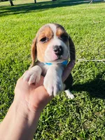 processed/b664d27b-666c-44e5-aadd-afc6919c1662/listing/58ba601b-0a2d-4726-9dae-778611a8817f/03064d10-6a08-46e2-a432-036ad26e39e0