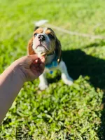 processed/b664d27b-666c-44e5-aadd-afc6919c1662/listing/58ba601b-0a2d-4726-9dae-778611a8817f/26de1e11-4bd9-4792-a79f-6e41d4d70b36