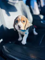 processed/b664d27b-666c-44e5-aadd-afc6919c1662/listing/58ba601b-0a2d-4726-9dae-778611a8817f/adc037a3-d6ac-4d09-965d-9336bb9c4733