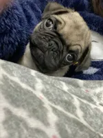 processed/b664d27b-666c-44e5-aadd-afc6919c1662/listing/71d99767-1f37-448c-9ce6-47e8216e1434/3ed910bd-3276-46aa-9b0d-47aff569d317