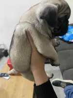 processed/b664d27b-666c-44e5-aadd-afc6919c1662/listing/71d99767-1f37-448c-9ce6-47e8216e1434/6f968aaf-71d8-4fe3-aaef-315286e9f19f